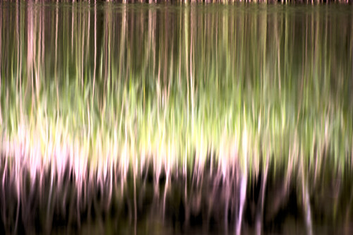 _DSC2089_01