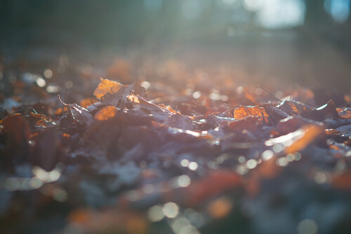_D8E7299-copy