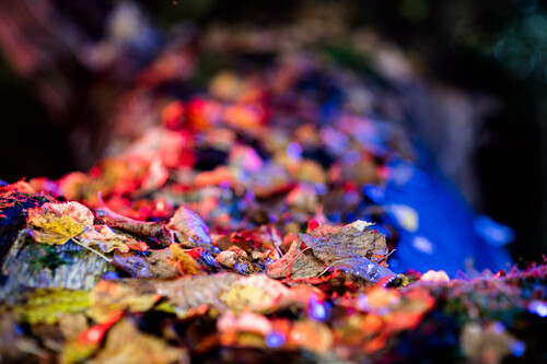 _DSC4281 Kopie