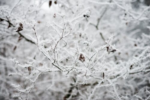 _D8E7901 copy