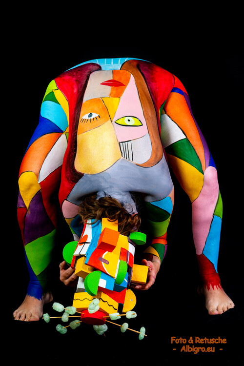 Titel Picasso5  Painter - ironbrix