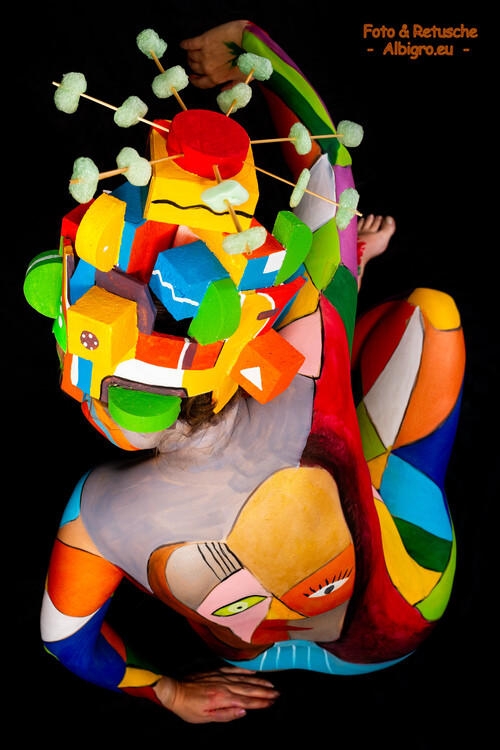Titel Picasso6  Painter - ironbrix