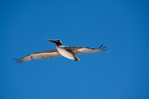 _DSC0170